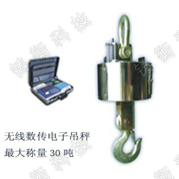 電子吊鉤秤